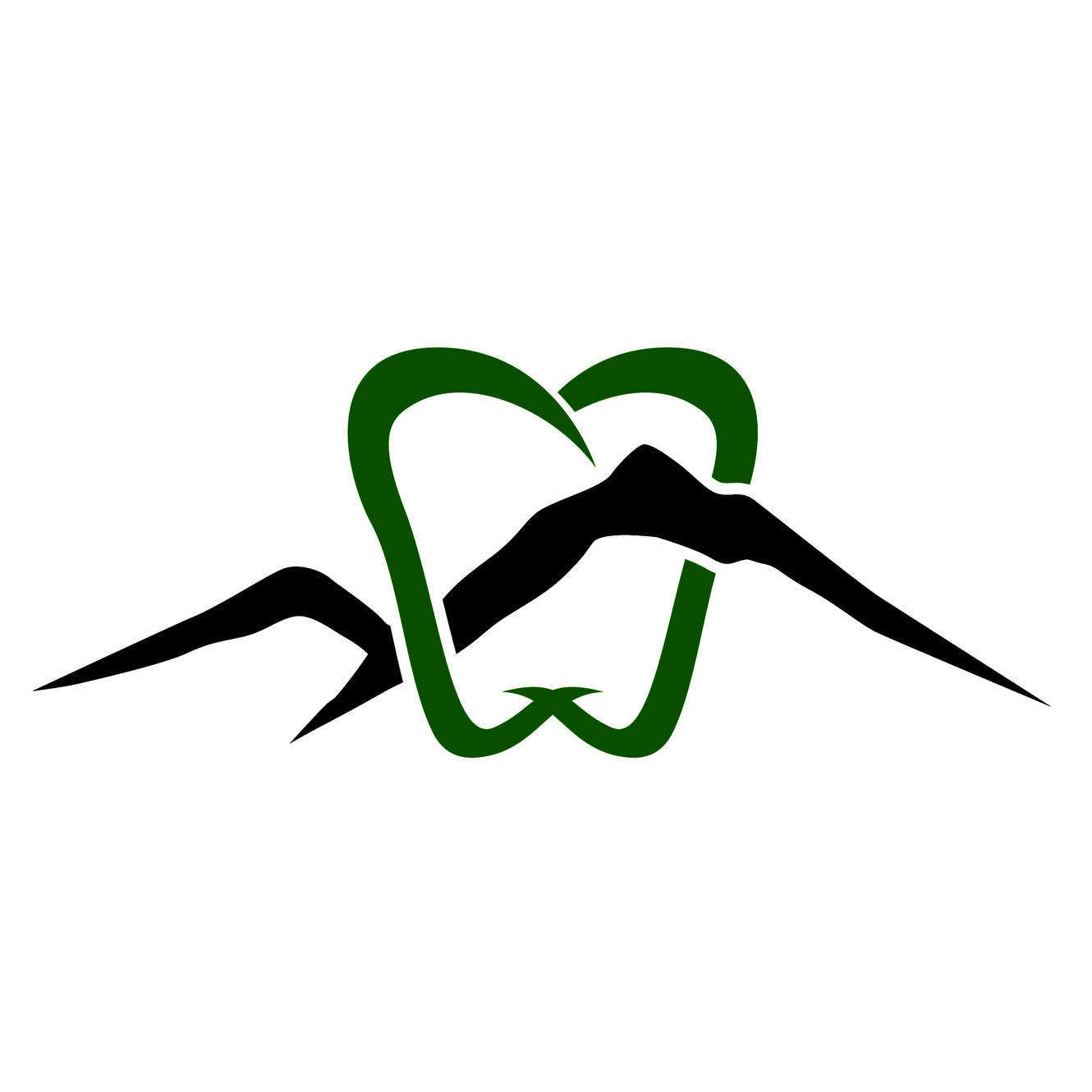 Adirondack Staffing Solutions logo