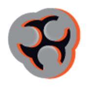 Berean Group International logo