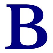 Boss Pro Staffing logo