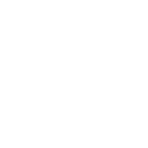 Chameleon Technologies Inc logo