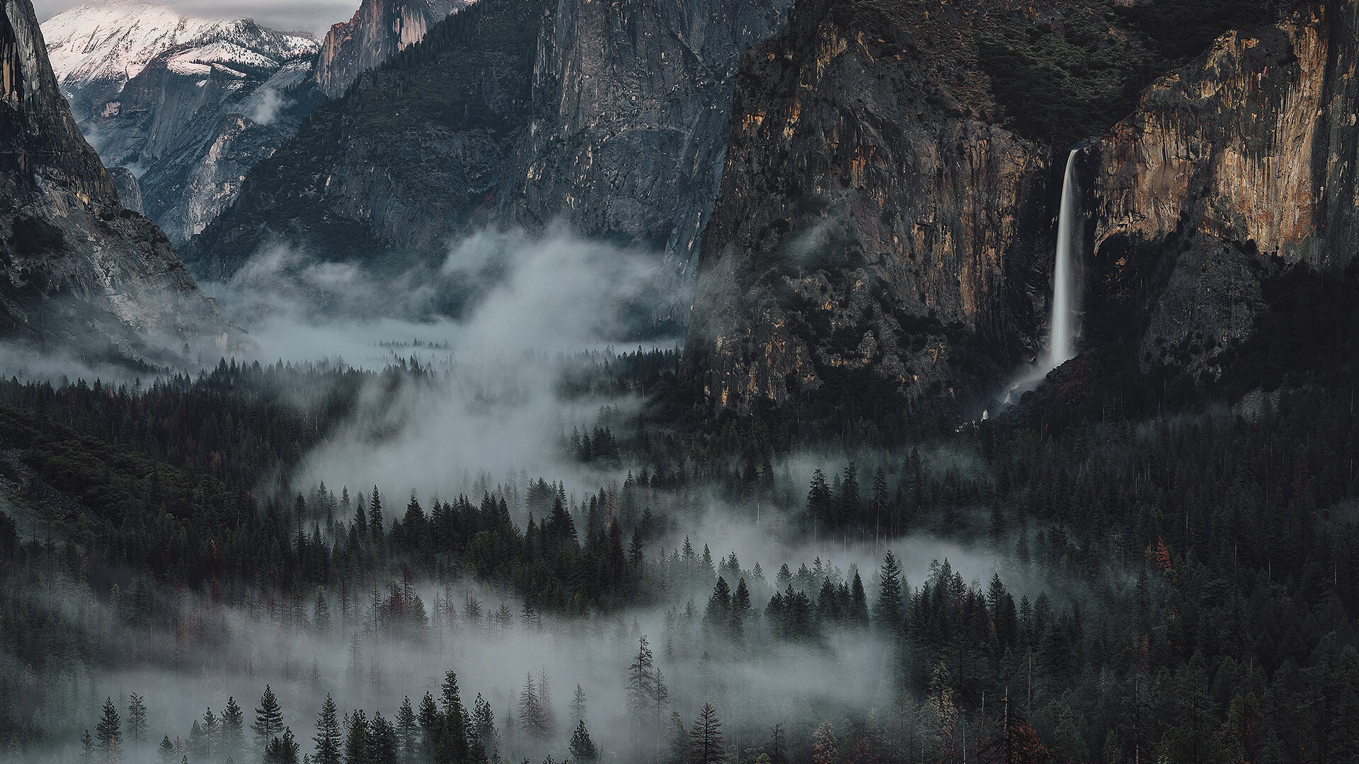 Detroit Employment Services logo