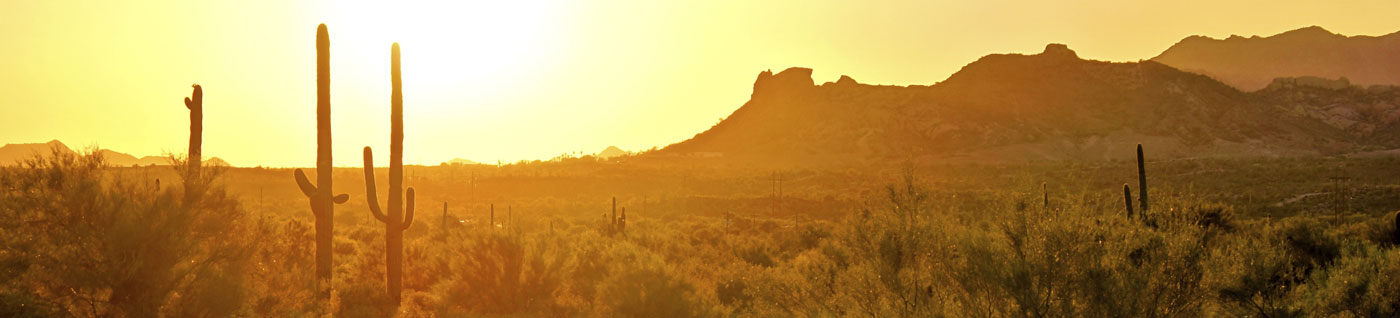 Dorado Personnel logo