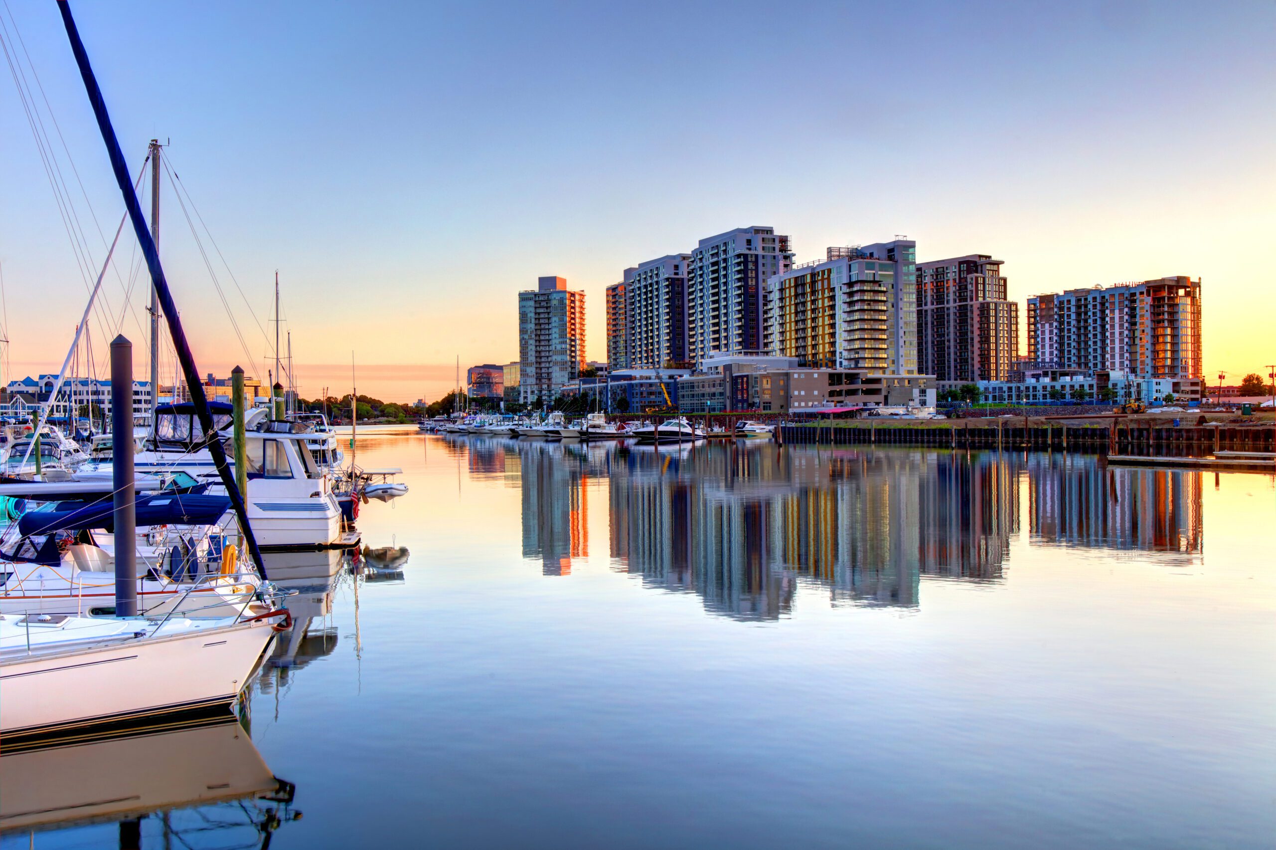 Elite Placement Group logo