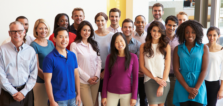 Elwood Skill Staff logo