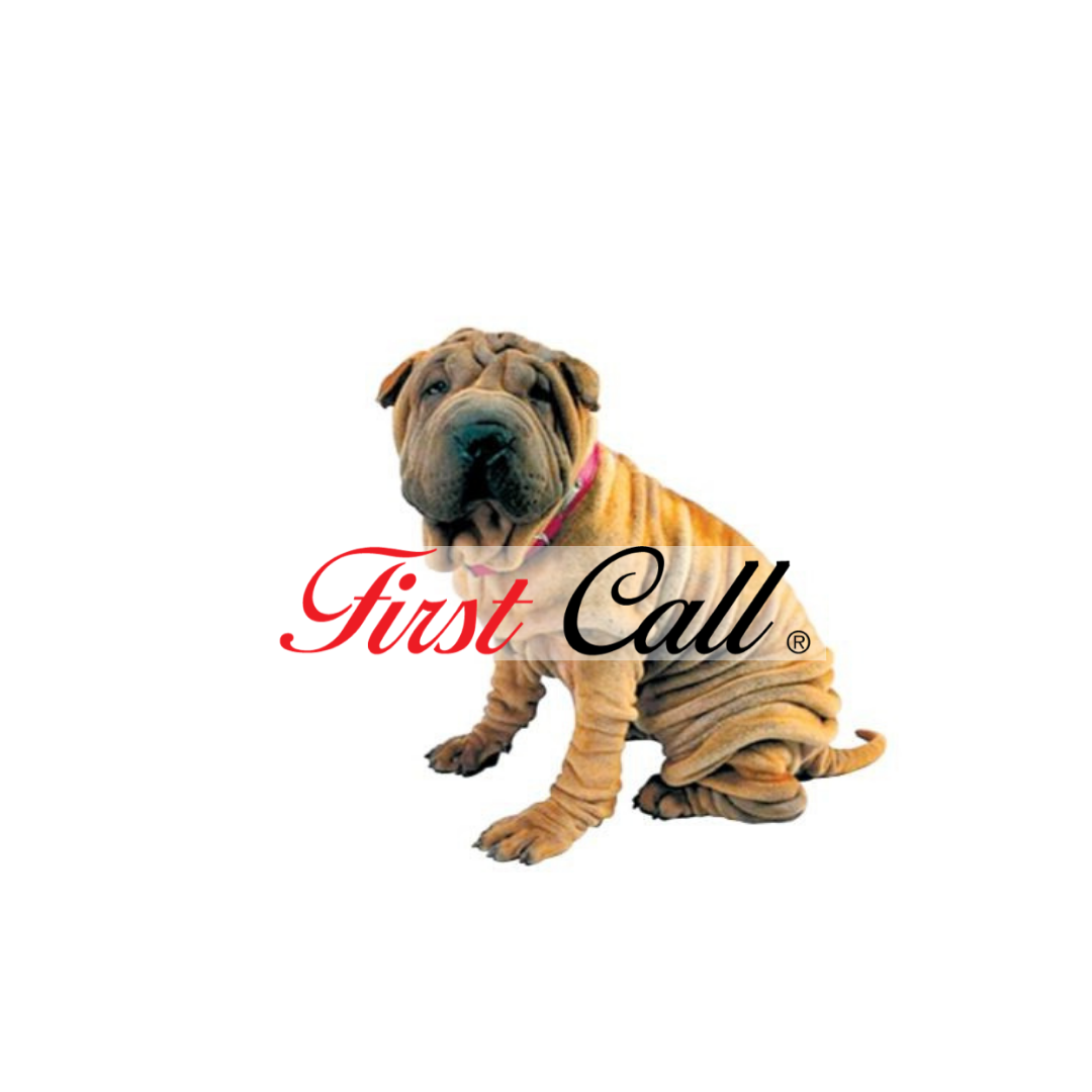 First Call logo