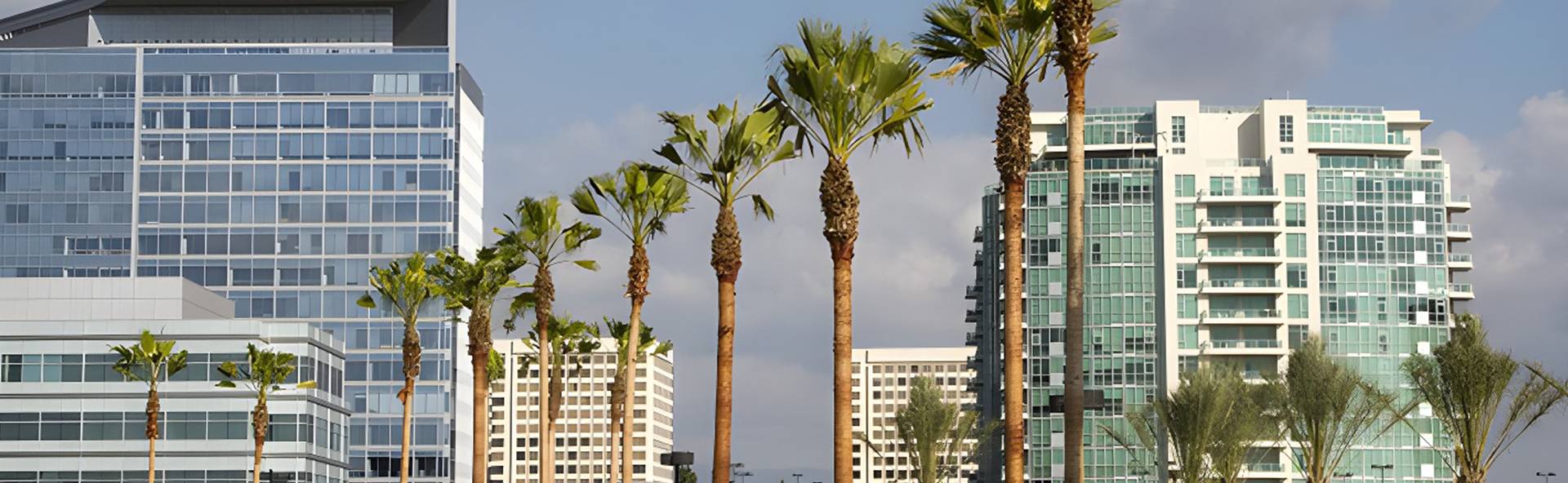 Marquee Staffing logo