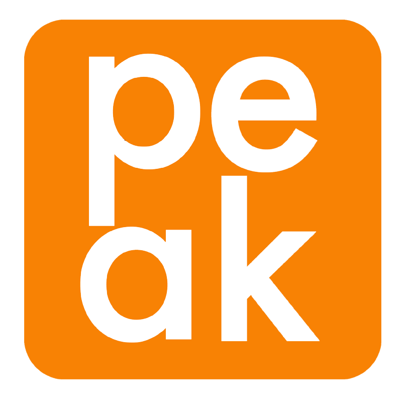 Peak Talent Capital Solutions logo