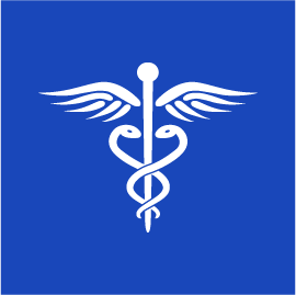 PRN Medical Solutions logo