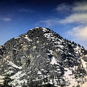 Professional Business Solutions logo