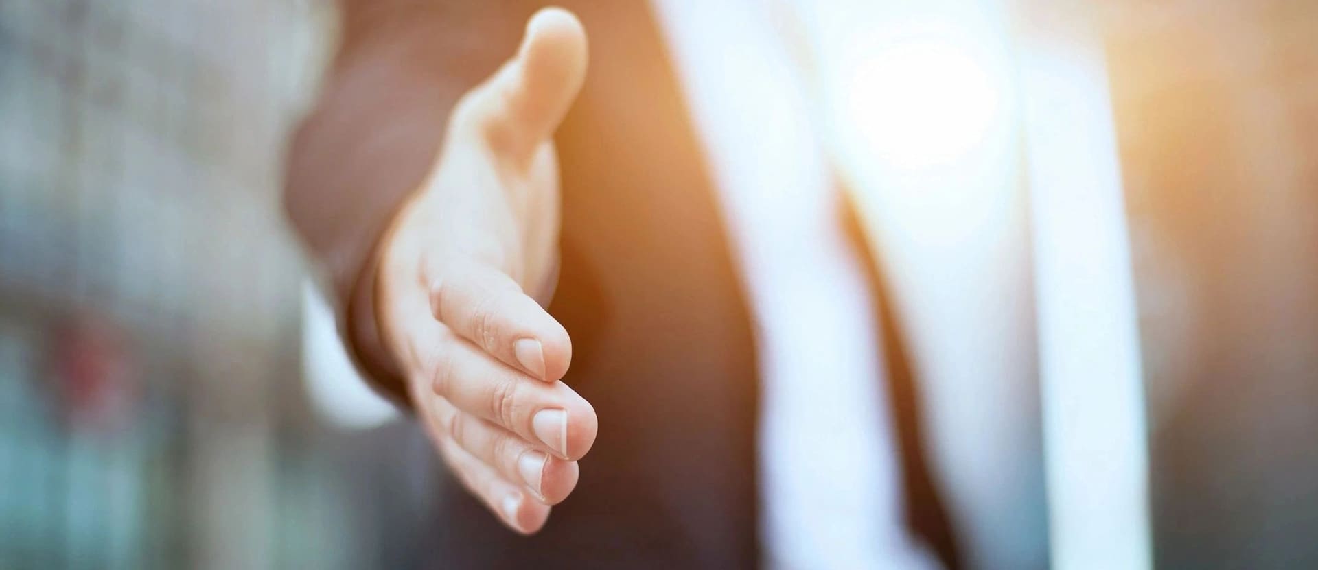 Professional Placement logo