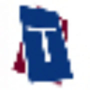 Triton Staffing Group logo