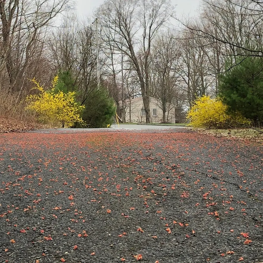 1st Priority Staffing – photo 3