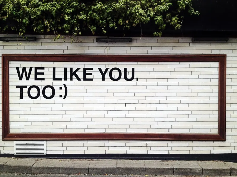 33 Persona – photo 3