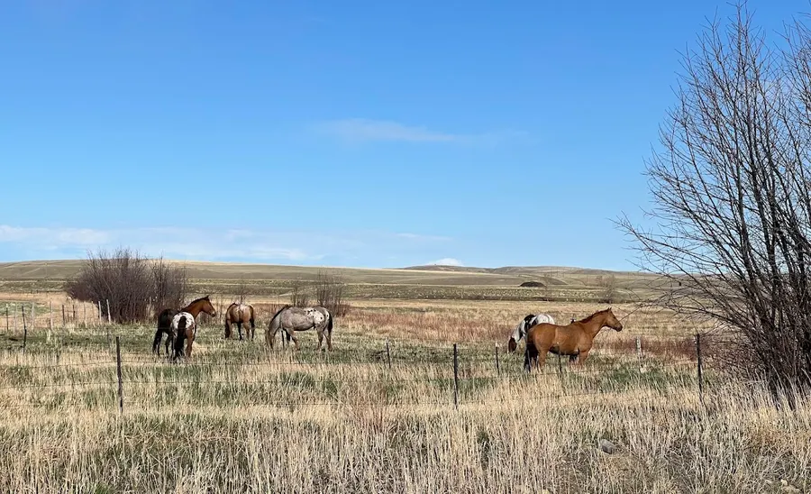 AB Staffing Solutions – photo 2