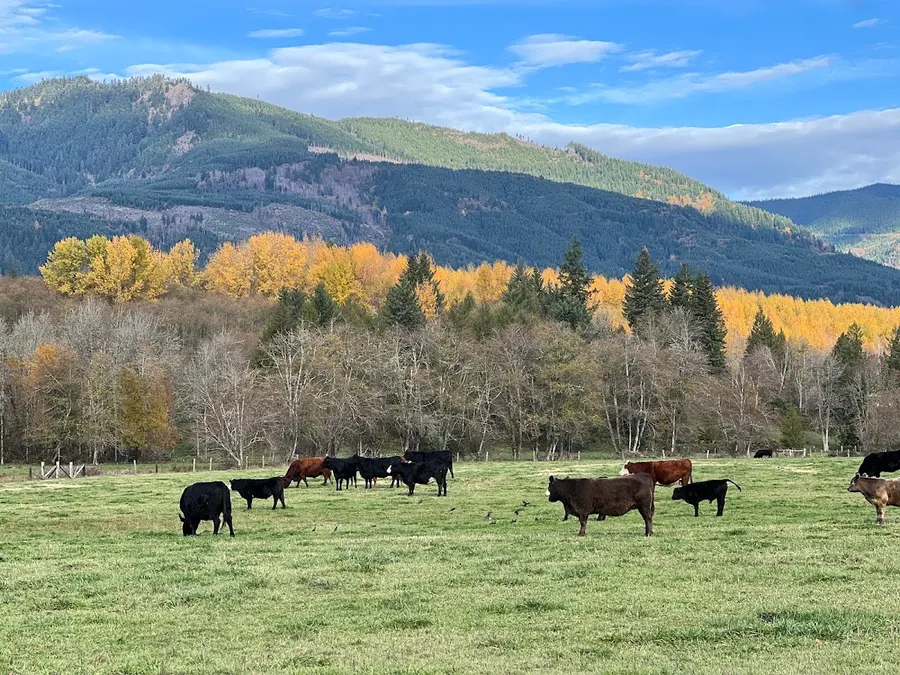 ALOIS Healthcare – photo 3