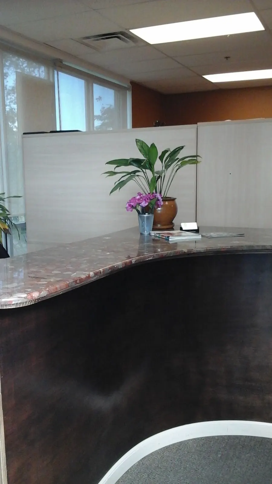 America's Labor Supply – photo 3