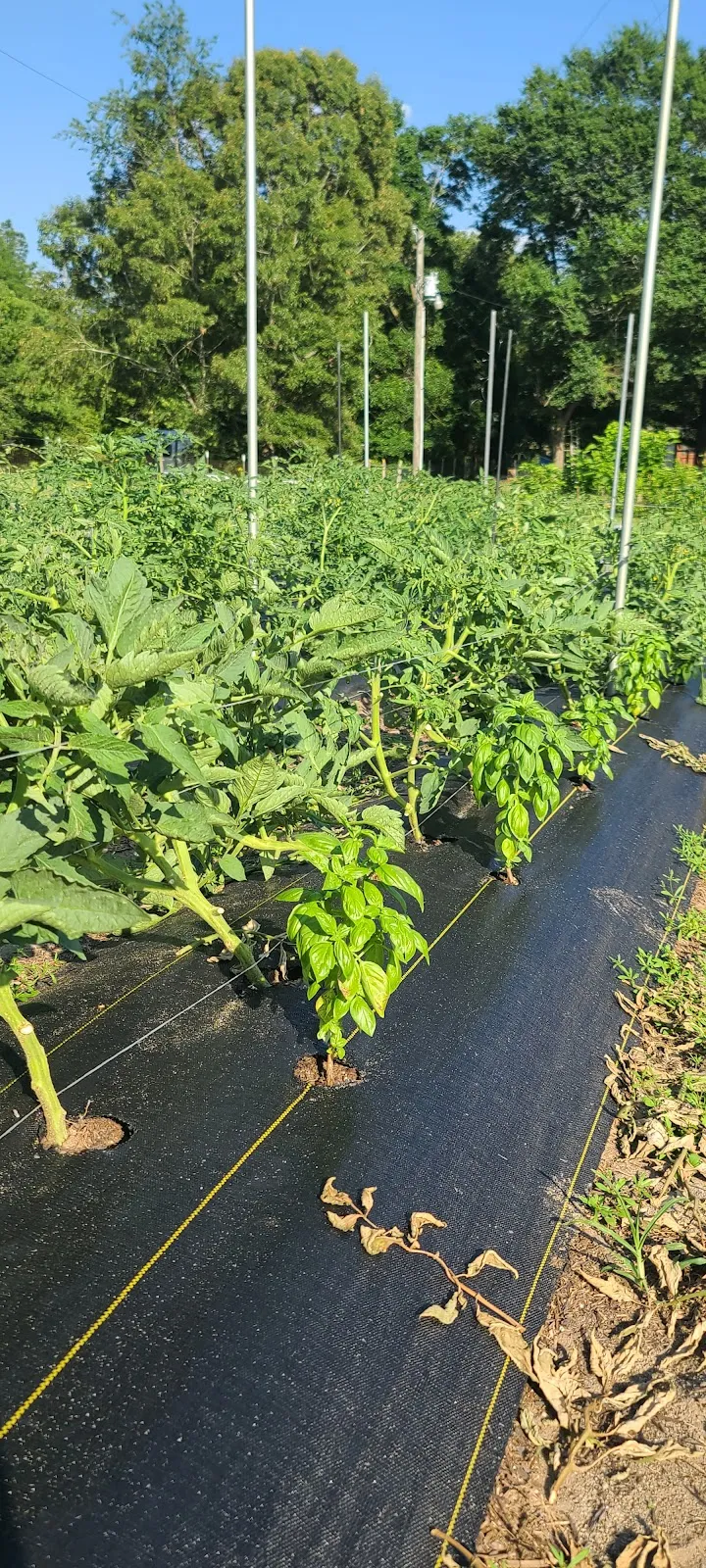 AppleOne Employment Services