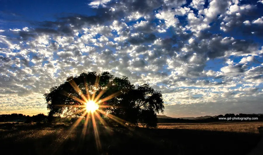 AtWork Personnel – photo 1