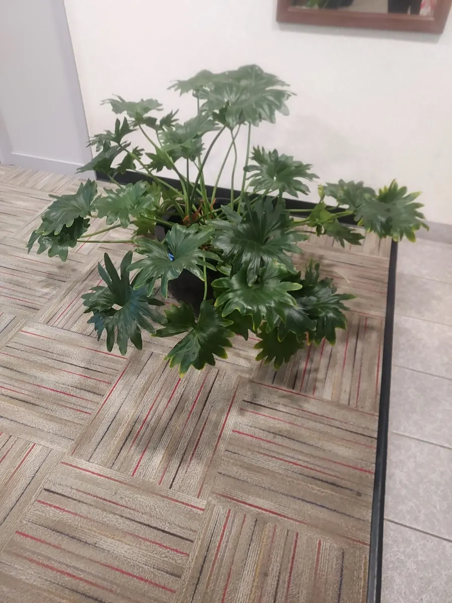 Boss Pro Staffing – photo 2