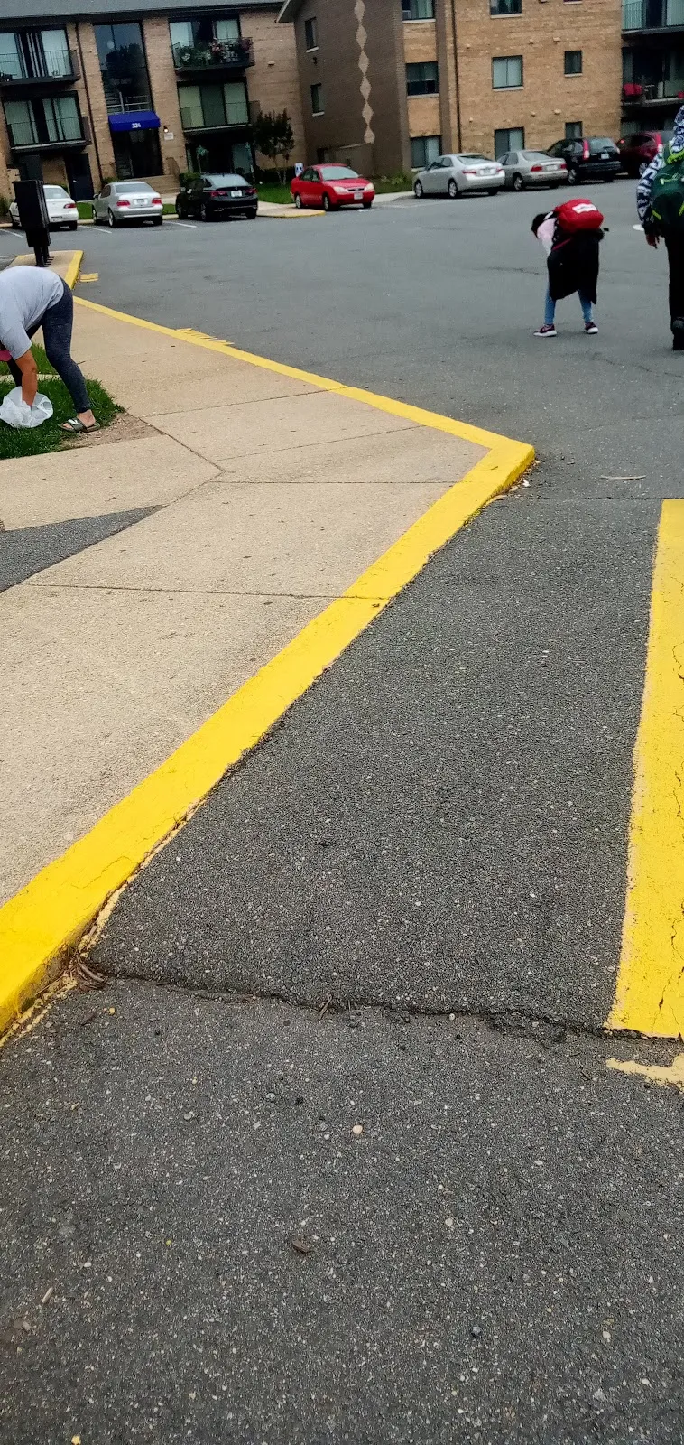 Career Strategies Inc