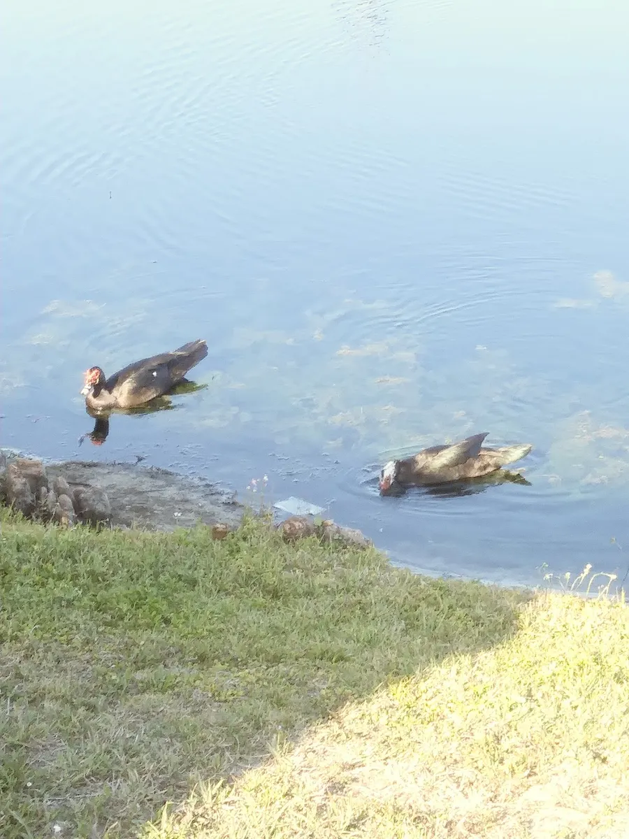 CareerSource Pinellas – photo 2