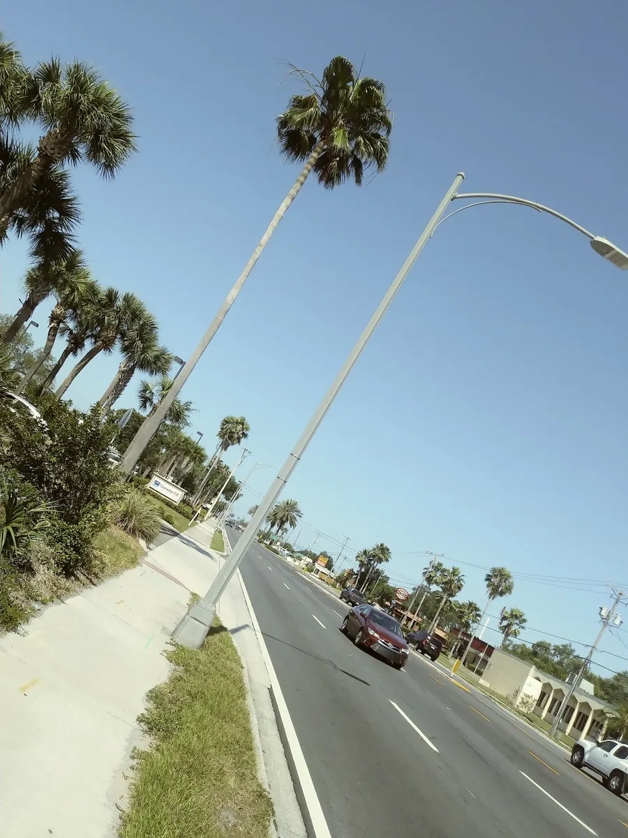 CareerSource Pinellas – photo 3