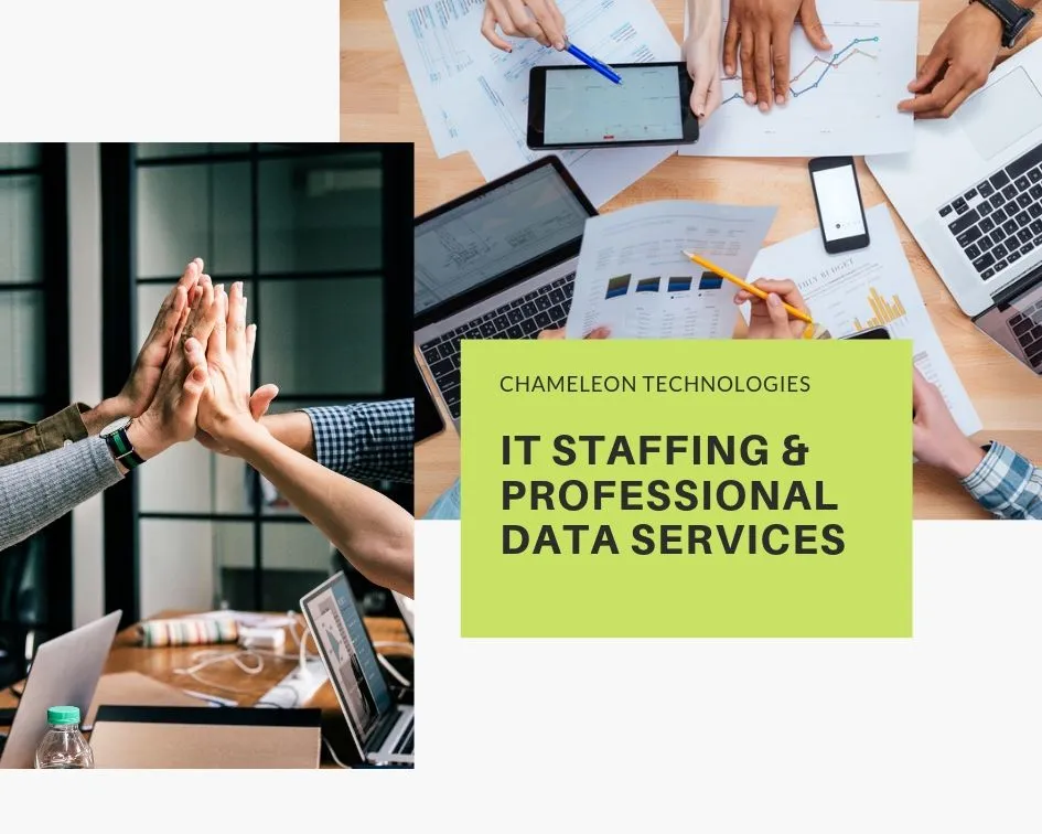 Chameleon Technologies Inc