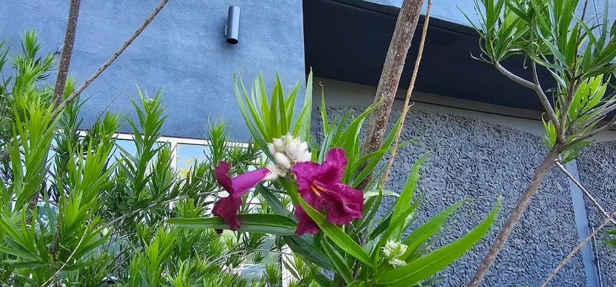 Chico Department Of Employment and Social Services – photo 3