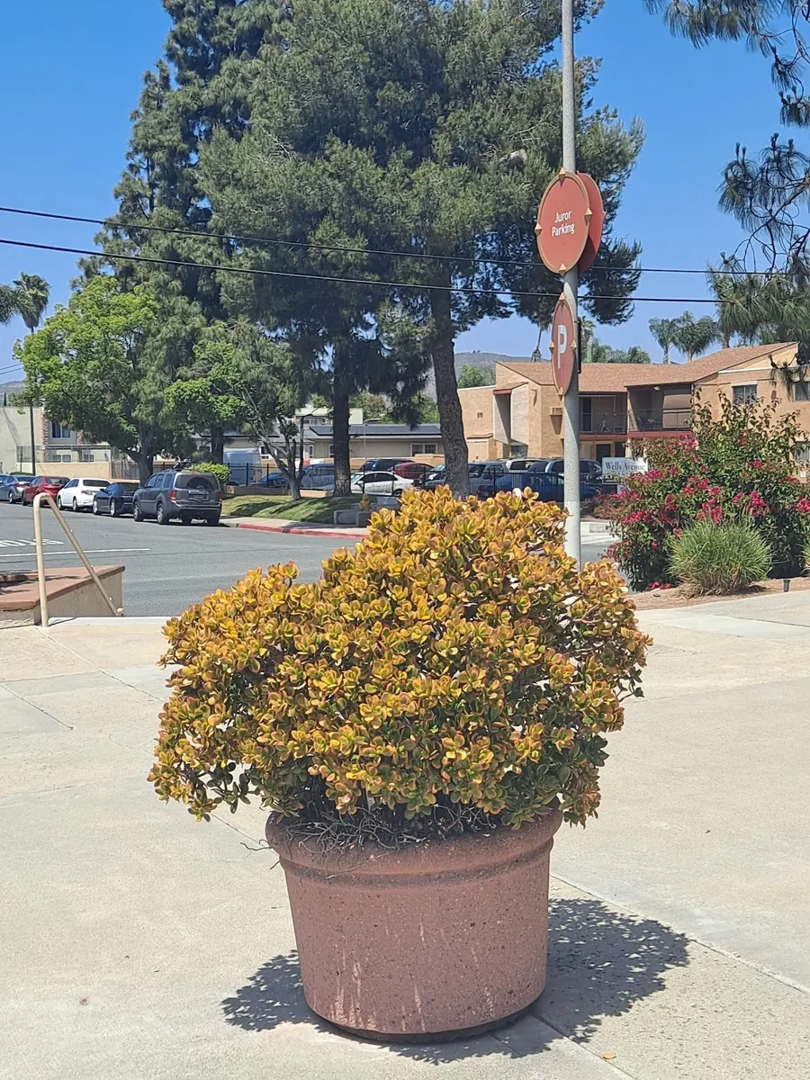 County of San Diego Health & Human Services Agency