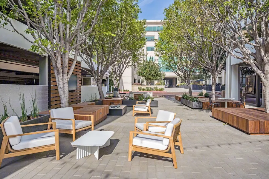 D3 Search – photo 3