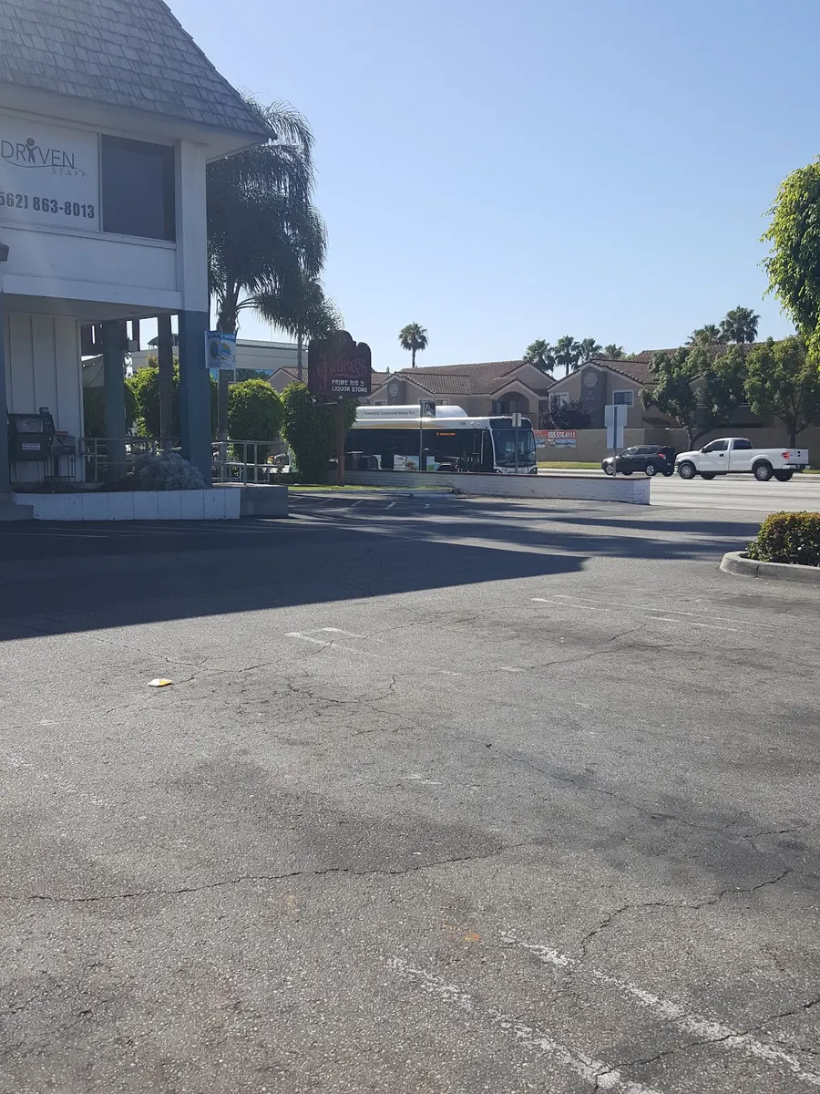 Driven Staff – photo 2