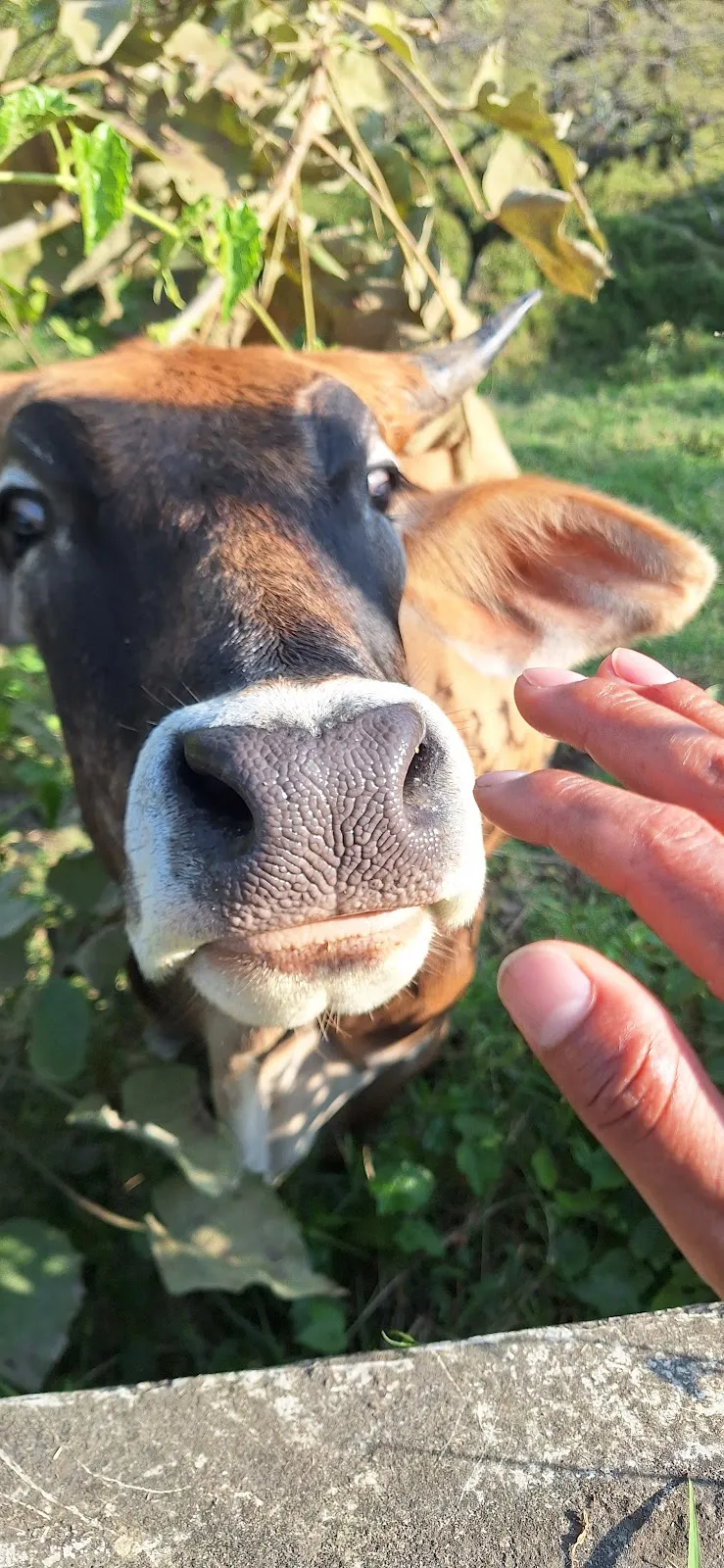 Duke Temporary Services