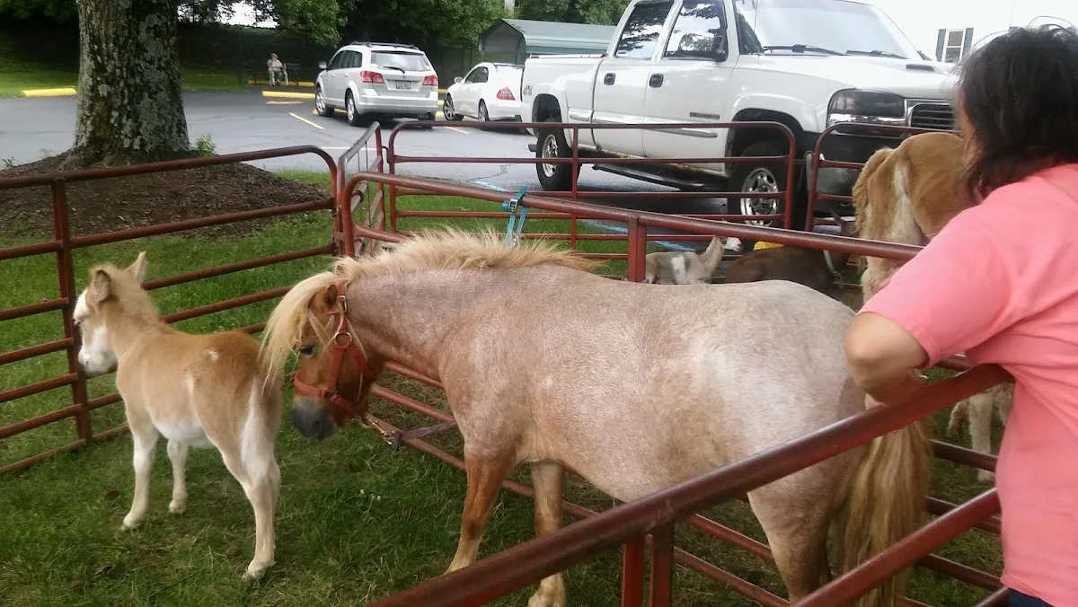 Employment Solutions, Inc.