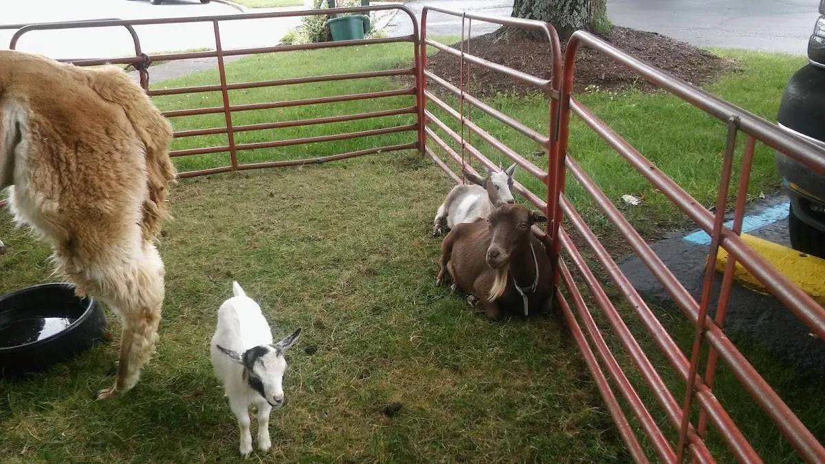 Employment Solutions, Inc. – photo 3