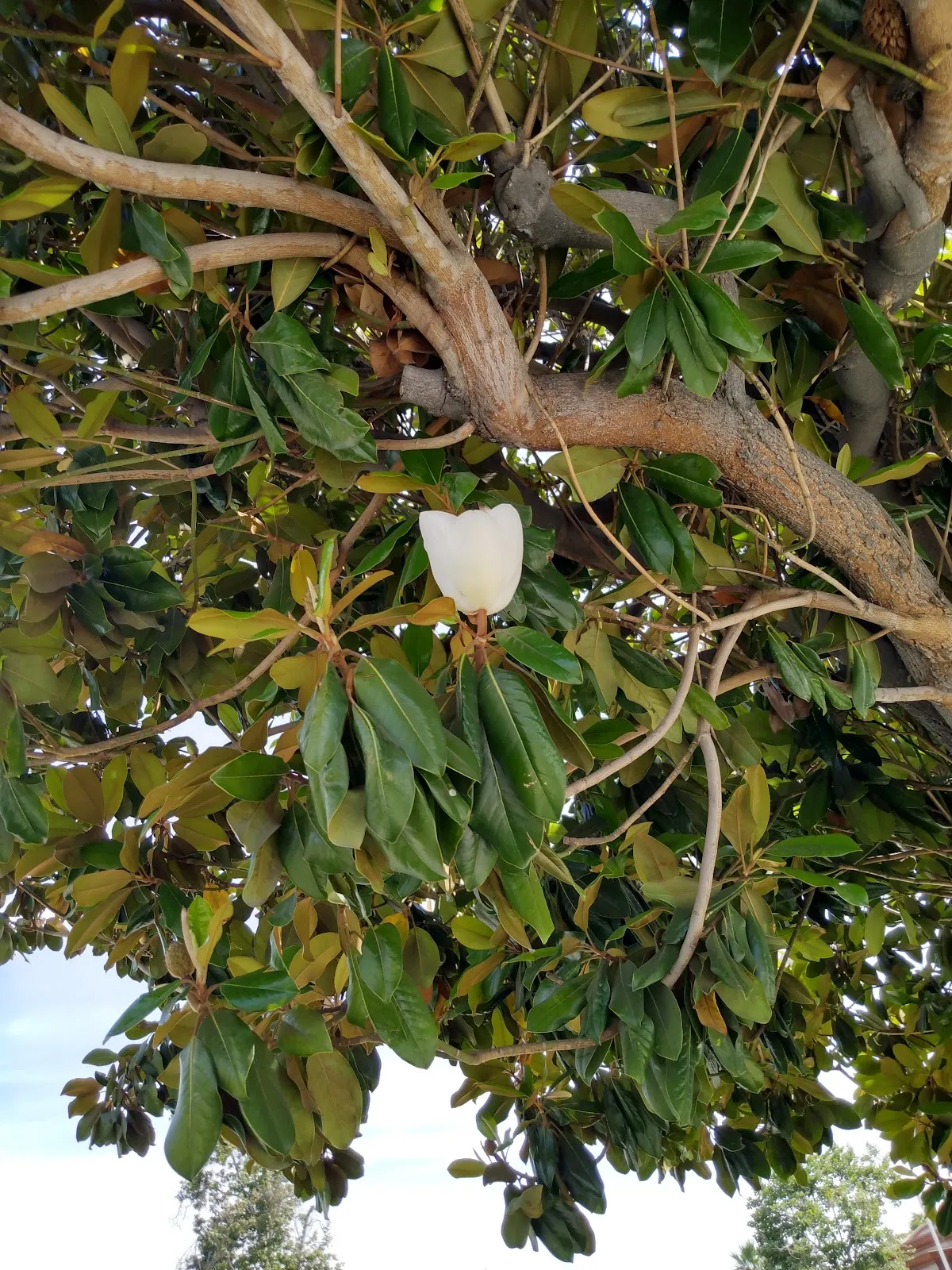 Epic HR, LLC – photo 3