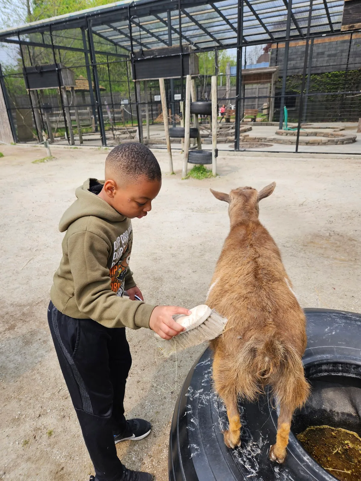 Epic Special Education Staffing