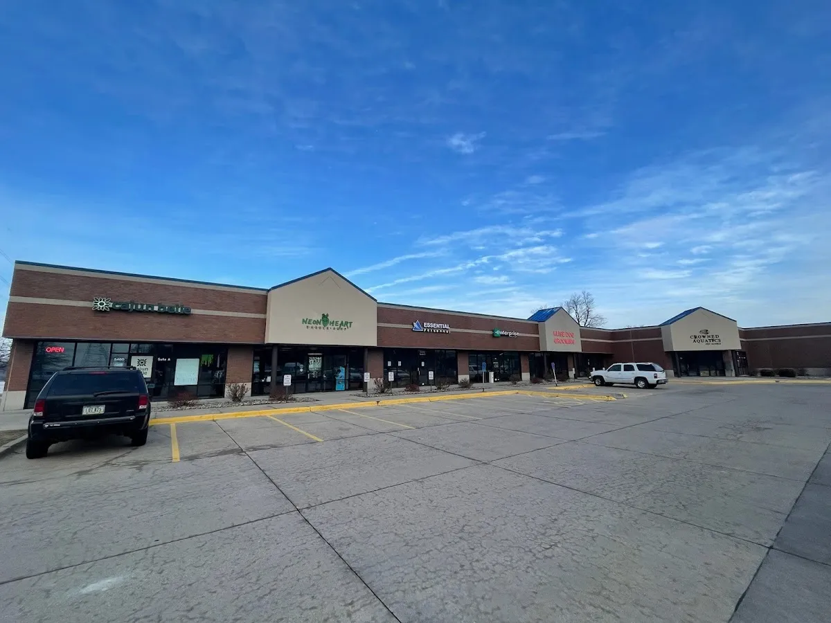 Essential Personnel – photo 2