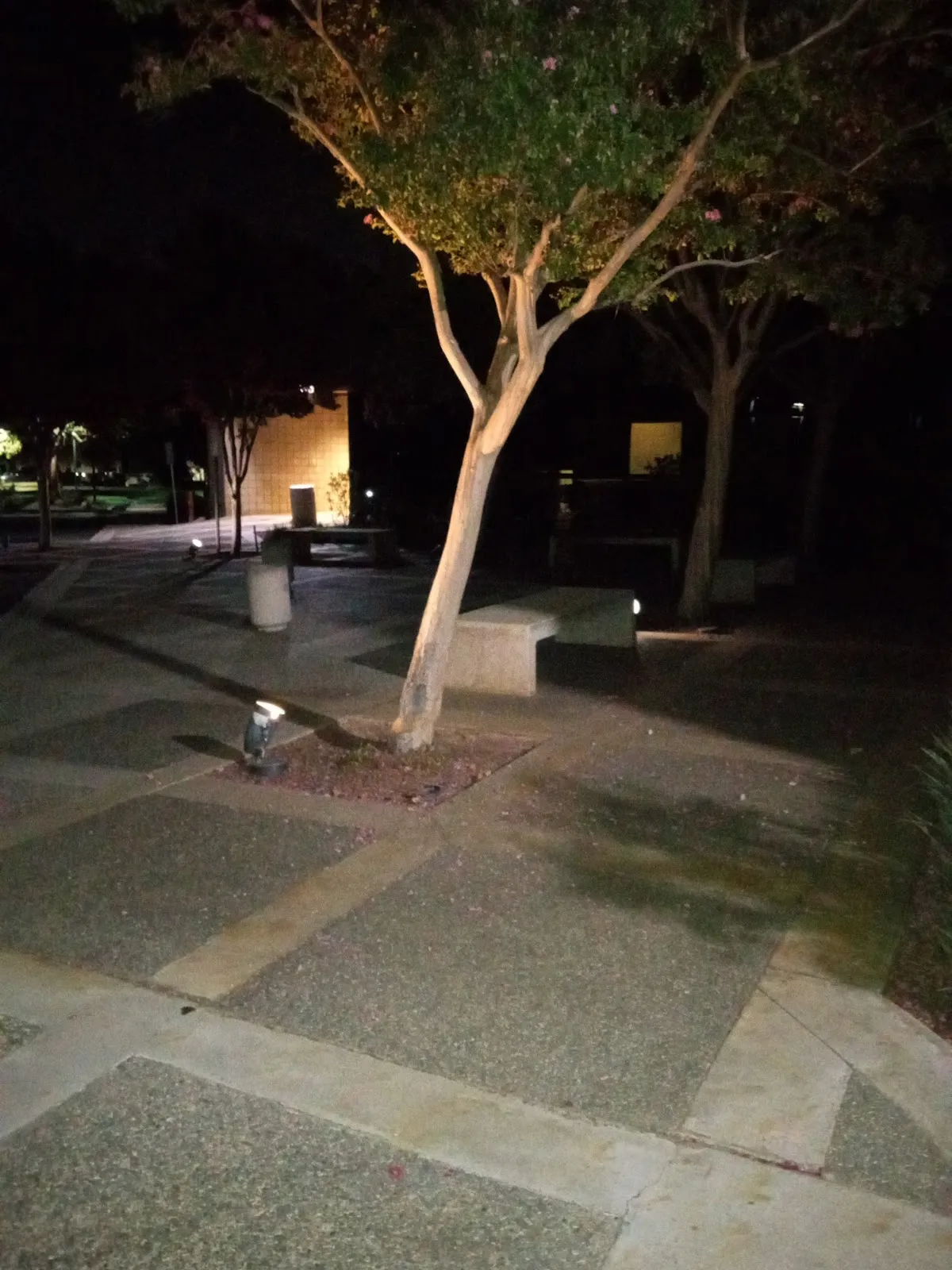 Expert Staffing West