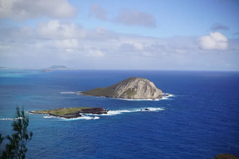 Express Employment Professionals – photo 3