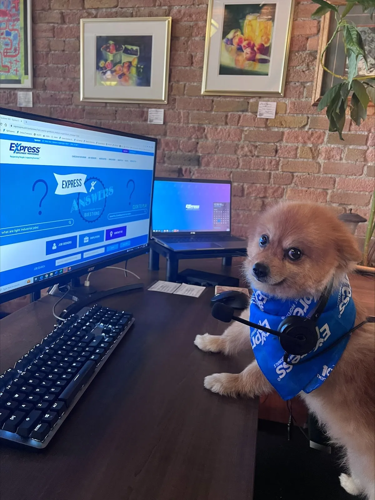 Express Employment Professionals