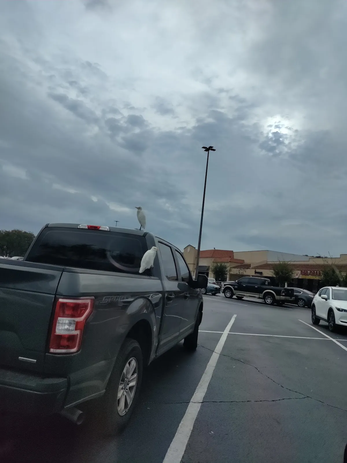 First Deltona Auto Tag Agency – photo 3