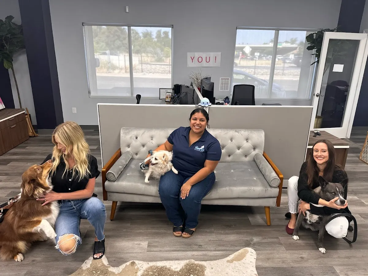 Hire Up Staffing Services – photo 3