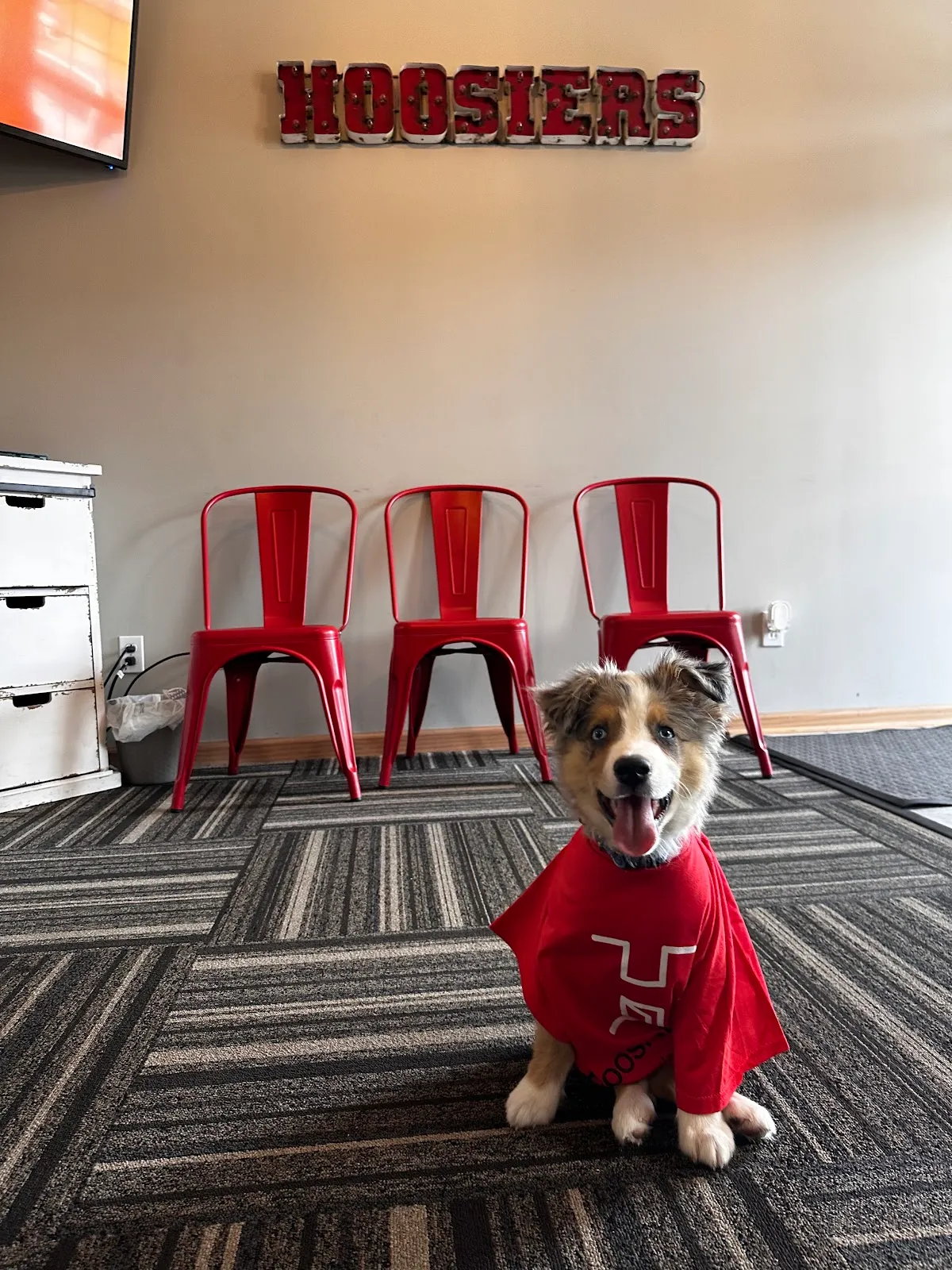 Hoosier Personnel Staffing, LLC – photo 3