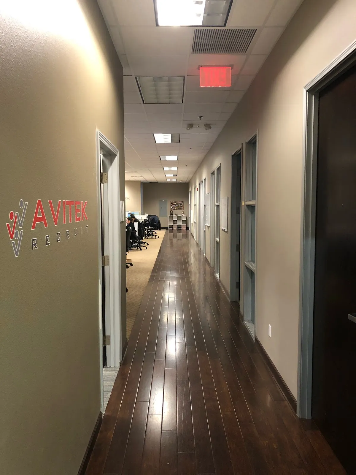 Human Bees – photo 2