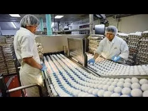 Impress Staffing Solutions – photo 3