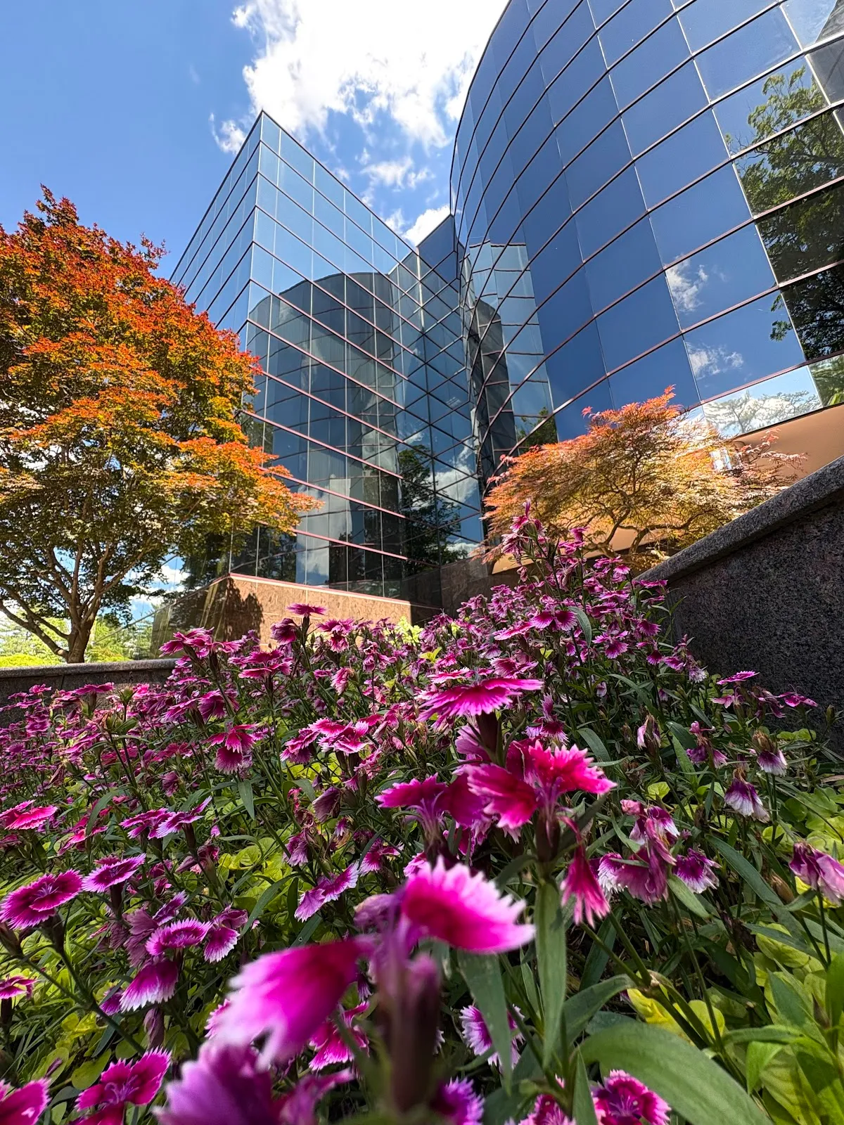 Innovative Talent Solutions