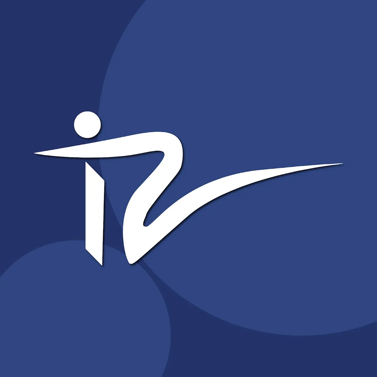 Integrated Resources Inc