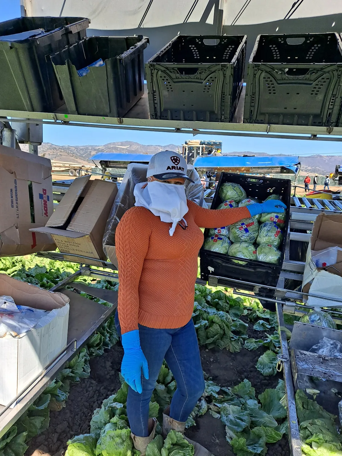 J R Custom Harvesting Co