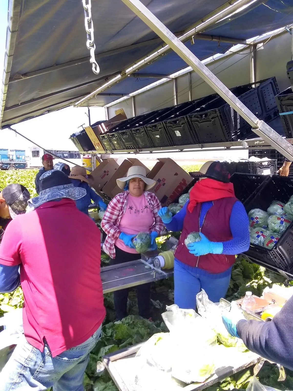 J R Custom Harvesting Co – photo 2