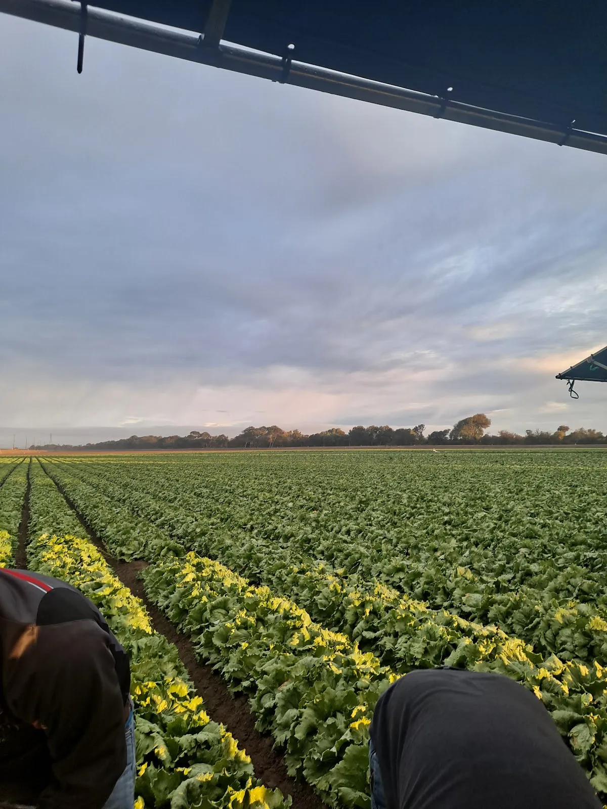 J R Custom Harvesting Co – photo 3